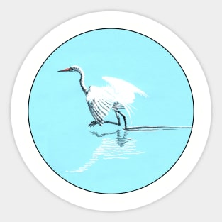 Egret in water Sticker